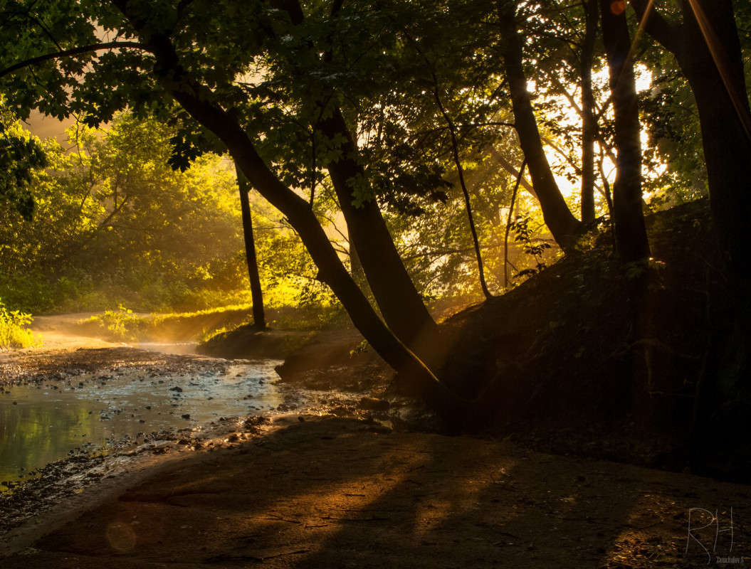 Early morning ����� Sergey  �� PhotoGeek.ru #������ ��� ������� #����� ��������������