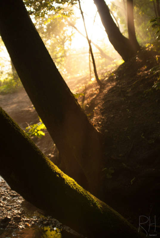 Early morning ����� Sergey  �� PhotoGeek.ru #������ ��� �������