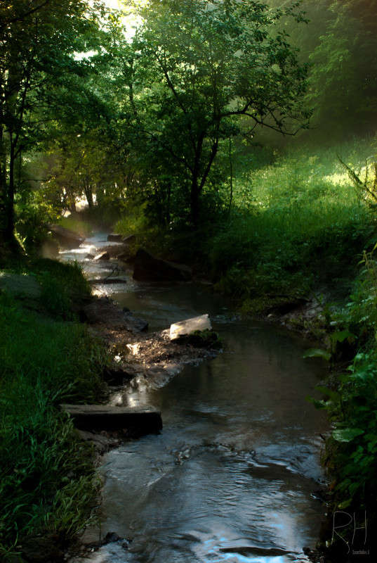 Early morning ����� Sergey  �� PhotoGeek.ru #������ ��� �������