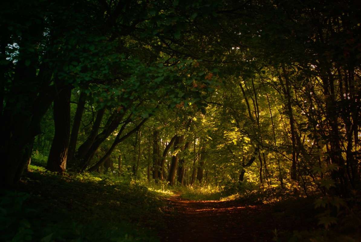 *** ����� Sergey  �� PhotoGeek.ru #������ ��� �������