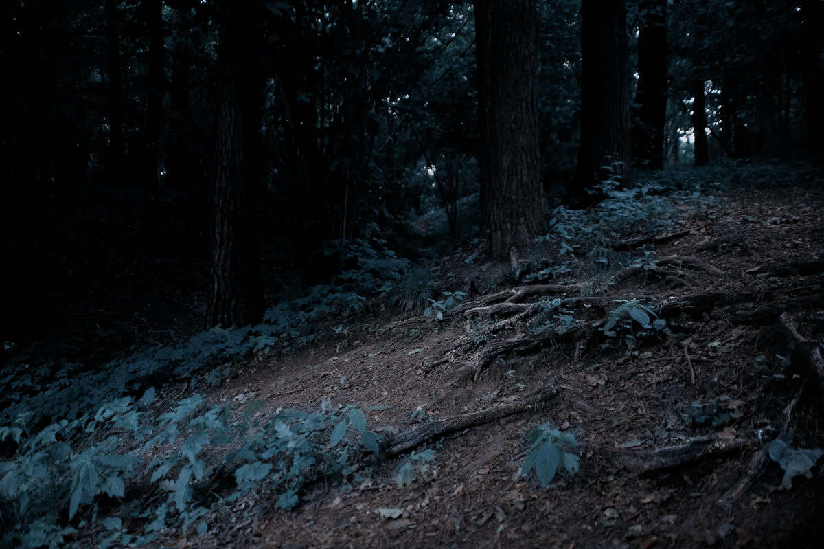 *** ����� Sergey  �� PhotoGeek.ru #������ ��� �������