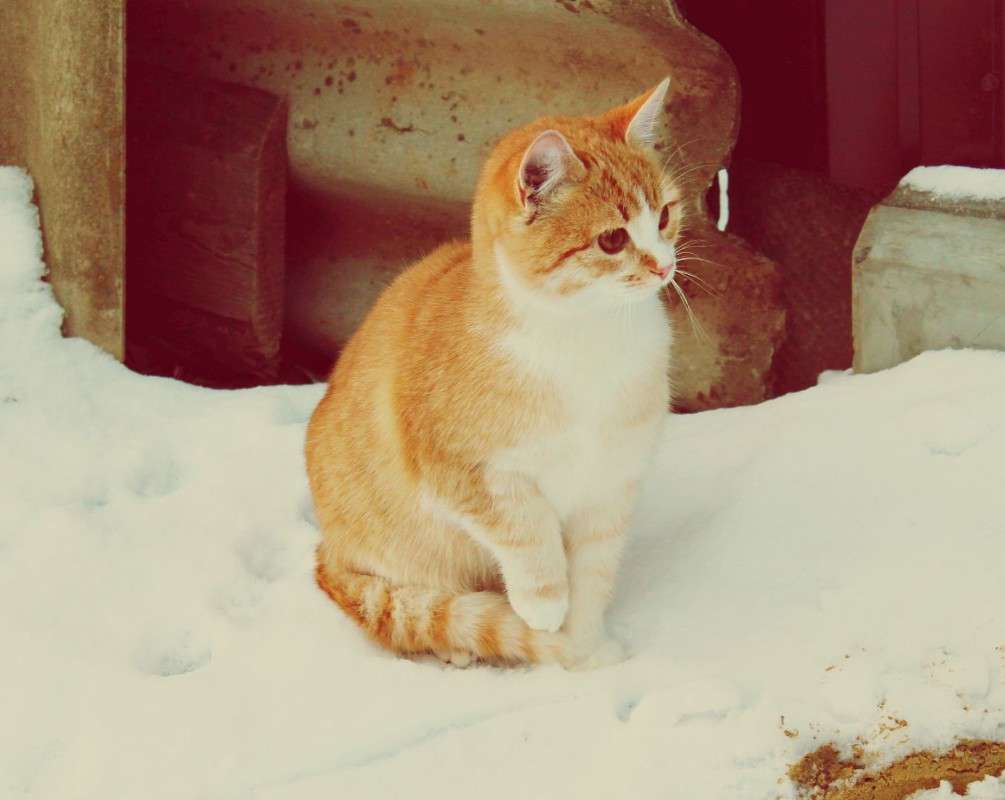 ����� �������... ����� �����   �� PhotoGeek.ru #�������� ��� #�������� ���