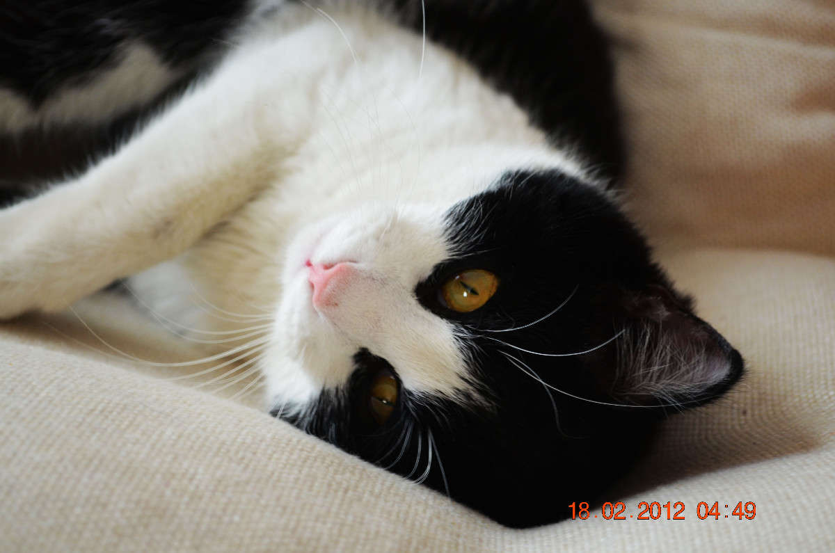 ��� ���� ����� �����  �� PhotoGeek.ru #�������� ���