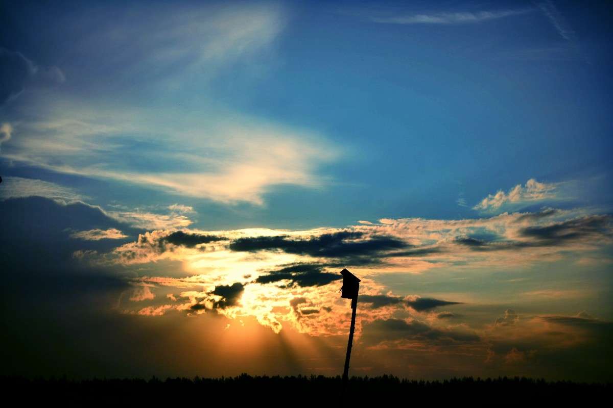 ������� ����� ���������  �� PhotoGeek.ru #������ ��� �������