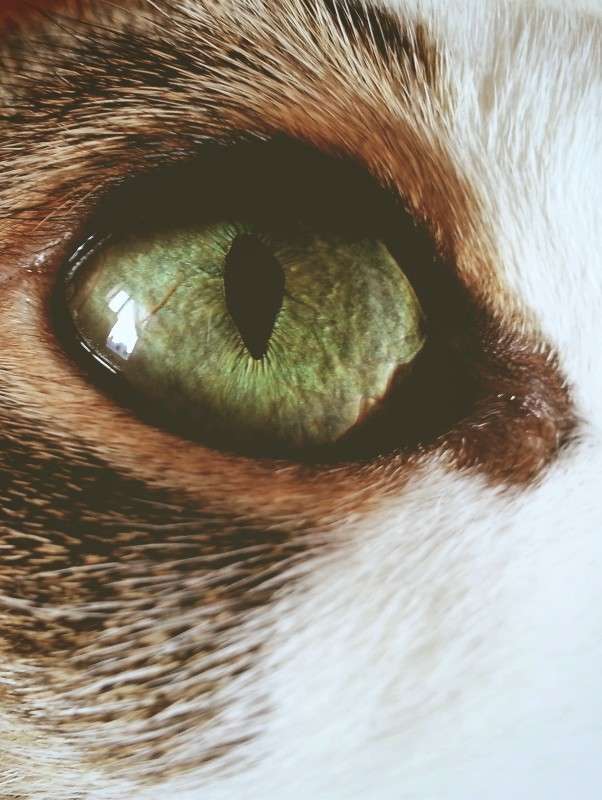 ������ ����� ���������  �� PhotoGeek.ru #�������� ��� #����