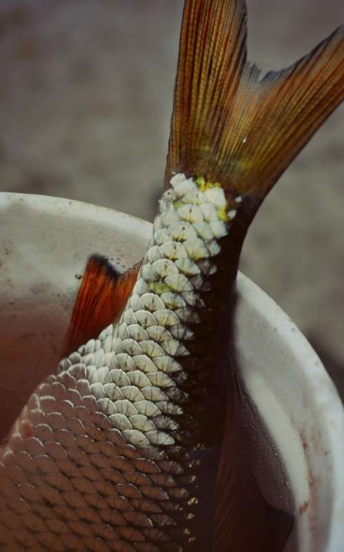 ����� ����� ���������  �� PhotoGeek.ru #����� #�������� ��� #������ ��� ������� #����� ��������