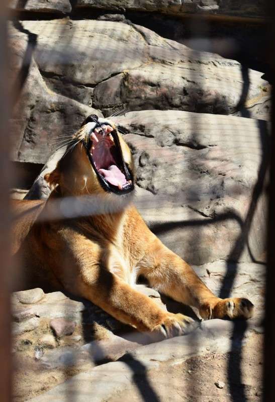 ������ ����� ���������  �� PhotoGeek.ru #�������� ��� #����� ��� ��� ���������