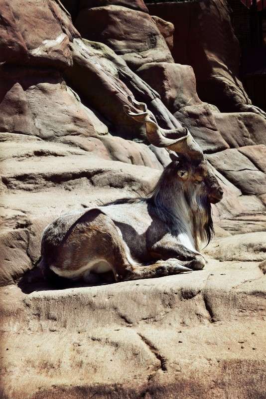 ���� ����� ���������  �� PhotoGeek.ru #�������� ��� #������ ��� ������� #����� ��� ��� ��������� #����� ��������