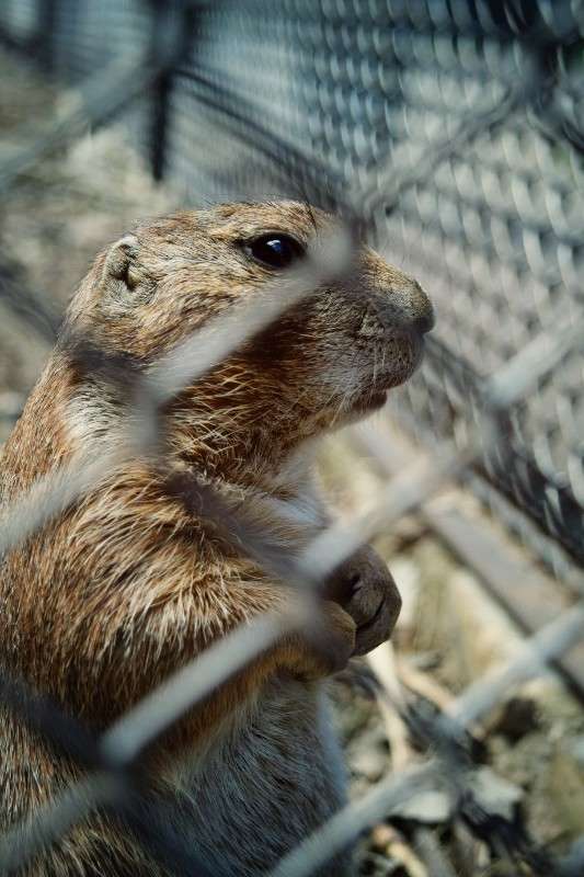 ������������ ������� ������� ����� ���������  �� PhotoGeek.ru #�������� ��� #����� ��� ��� ���������