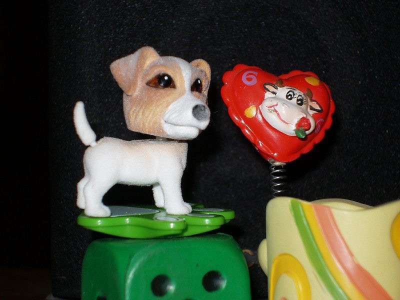 ������� � ������� ����� ��������  �� PhotoGeek.ru #������