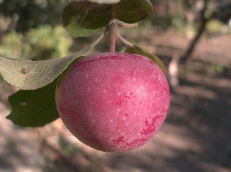 ������� ... ��������� ... ����� ��������  �� PhotoGeek.ru #������ ��� �������