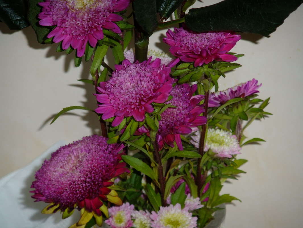 ����� ����� ��������  �� PhotoGeek.ru #���������