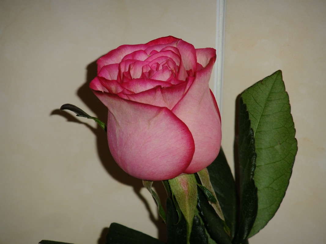 ���� - ���� ������� ����� ��������  �� PhotoGeek.ru #���������