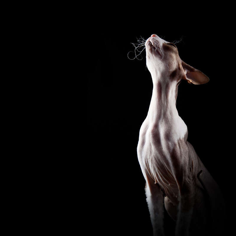 ������ ��������� ��������� �����   �� PhotoGeek.ru #�������� ���