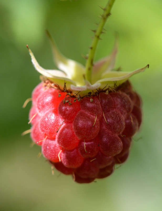 ������� ������ �����   �� PhotoGeek.ru #����� #����� ��������������