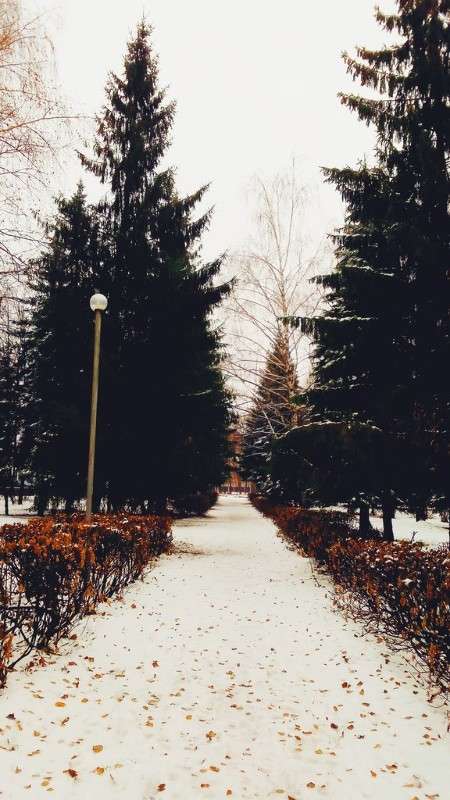 Park/  Ally Cold  PhotoGeek.ru #   #  #  