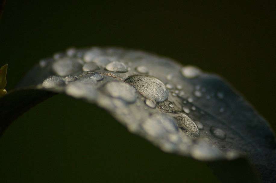 ... ����� ����  �� PhotoGeek.ru #�����