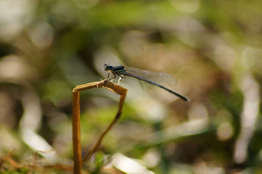 ... ����� ����  �� PhotoGeek.ru #�����