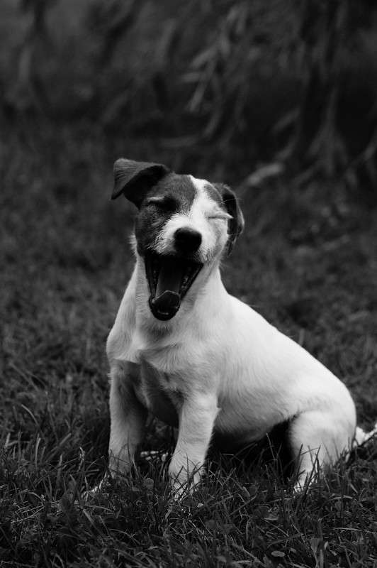 ... ����� ����  �� PhotoGeek.ru #�������� ���