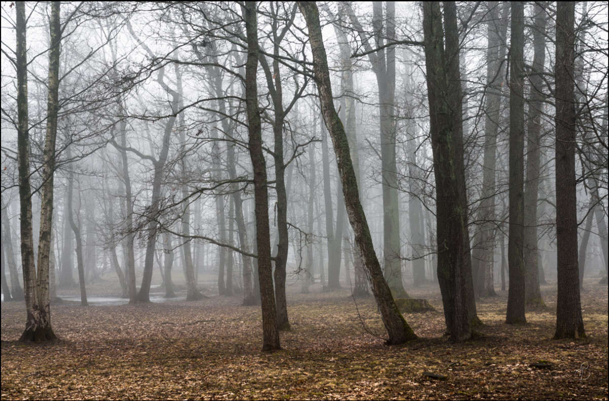 ���������� ����� ����� Vitaly Konakov �� PhotoGeek.ru #������ ��� ������� #����� ��������