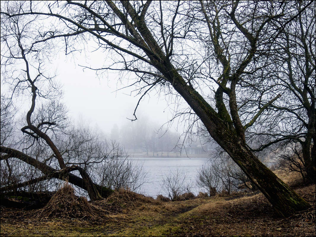 ����� �� �������  24 ����� Vitaly Konakov �� PhotoGeek.ru #������ ��� ������� #����� ��������