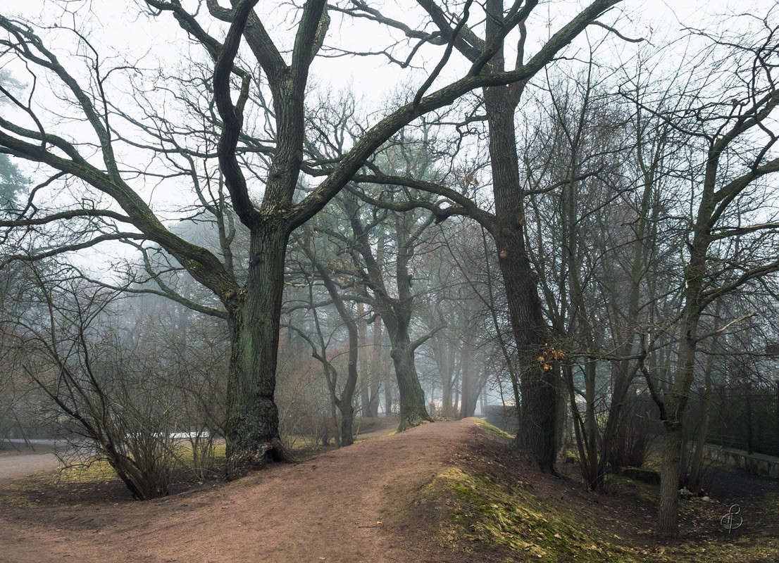 ������ � ����� 2 ����� Vitaly Konakov �� PhotoGeek.ru #������ ��� ������� #����� ��������