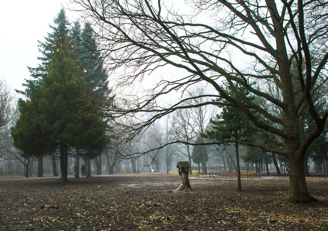 ������ � ����� 3 ����� Vitaly Konakov �� PhotoGeek.ru #������ ��� ������� #����� ��������