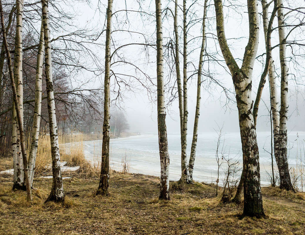 ���� � ������ 8 ����� Vitaly Konakov �� PhotoGeek.ru #������ ��� ������� #����� ��������