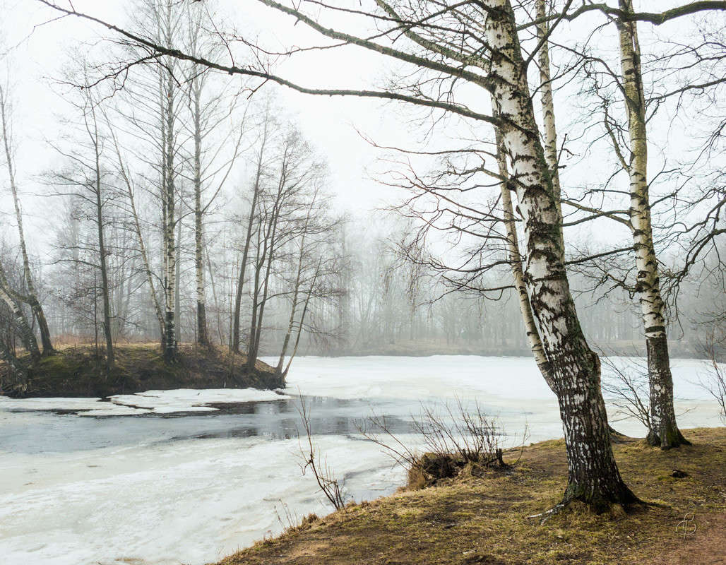 ���� � ������ 9 ����� Vitaly Konakov �� PhotoGeek.ru #������ ��� ������� #����� ��������