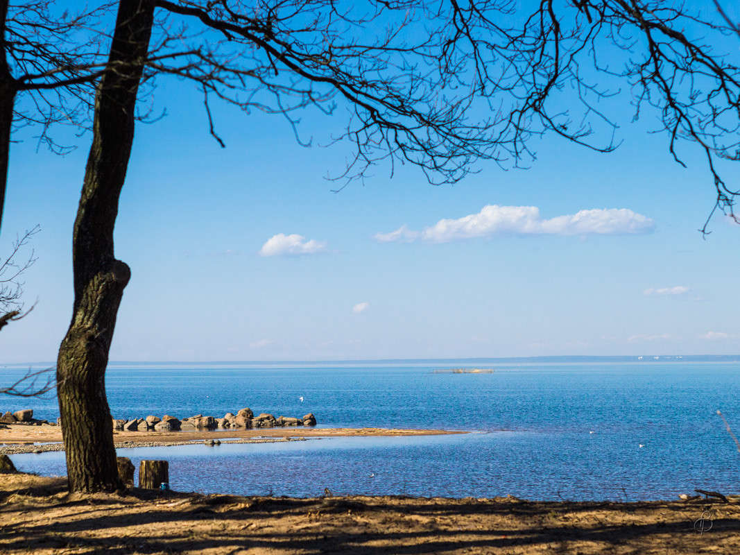 ����� �������� ����� Vitaly Konakov �� PhotoGeek.ru #������ ��� ������� #����� ��������