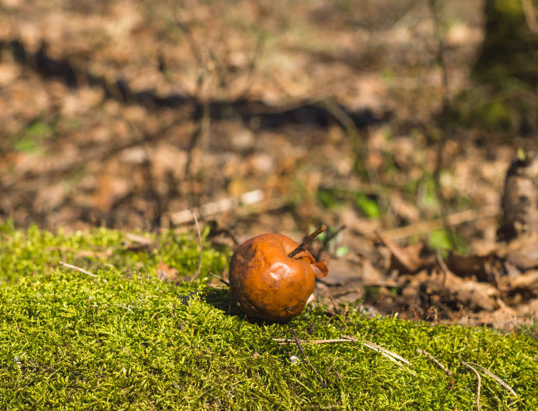 ����� �������������� ����� Vitaly Konakov �� PhotoGeek.ru #������ ��� ������� #���������