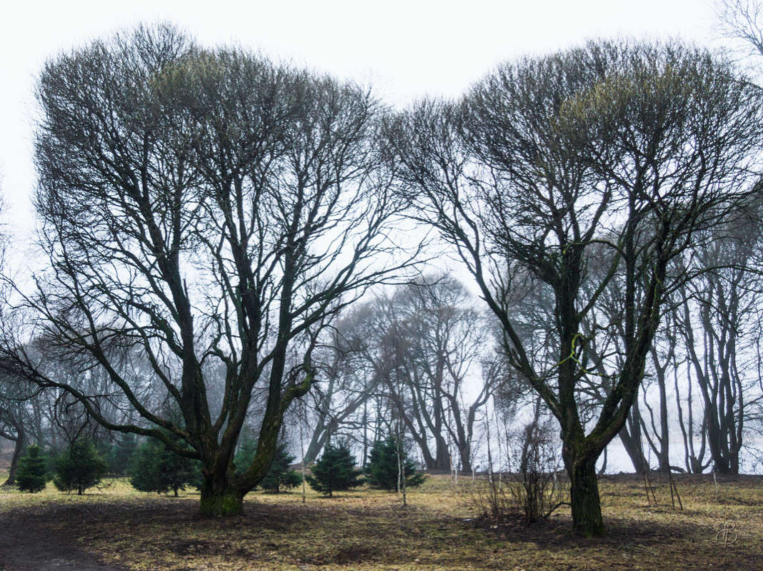 ����� � ����������� 3 ����� Vitaly Konakov �� PhotoGeek.ru #������ ��� ������� #����� ��������