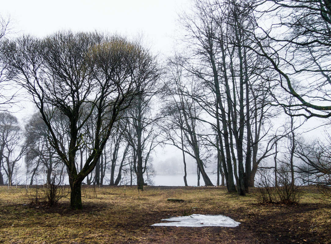 ����� � ����������� 4 ����� Vitaly Konakov �� PhotoGeek.ru #������ ��� ������� #����� ��������