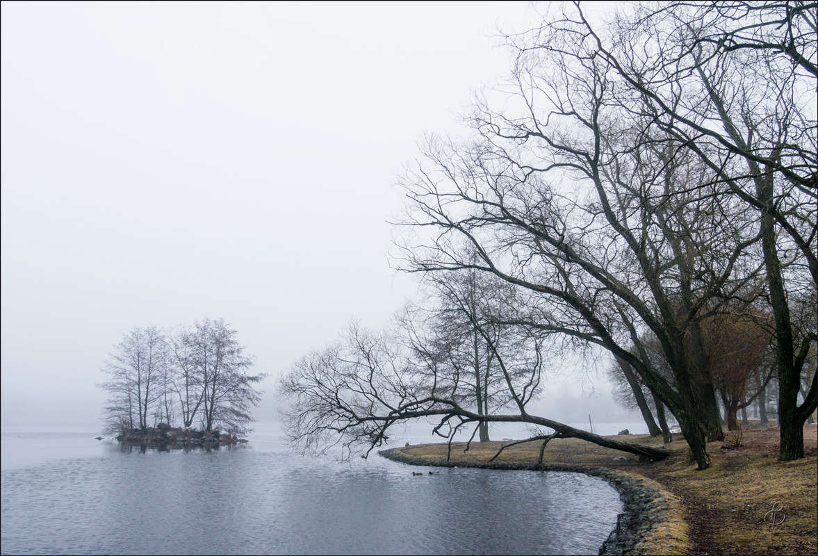 ����� � ����������� 17 ����� Vitaly Konakov �� PhotoGeek.ru #������ ��� ������� #����� ��������