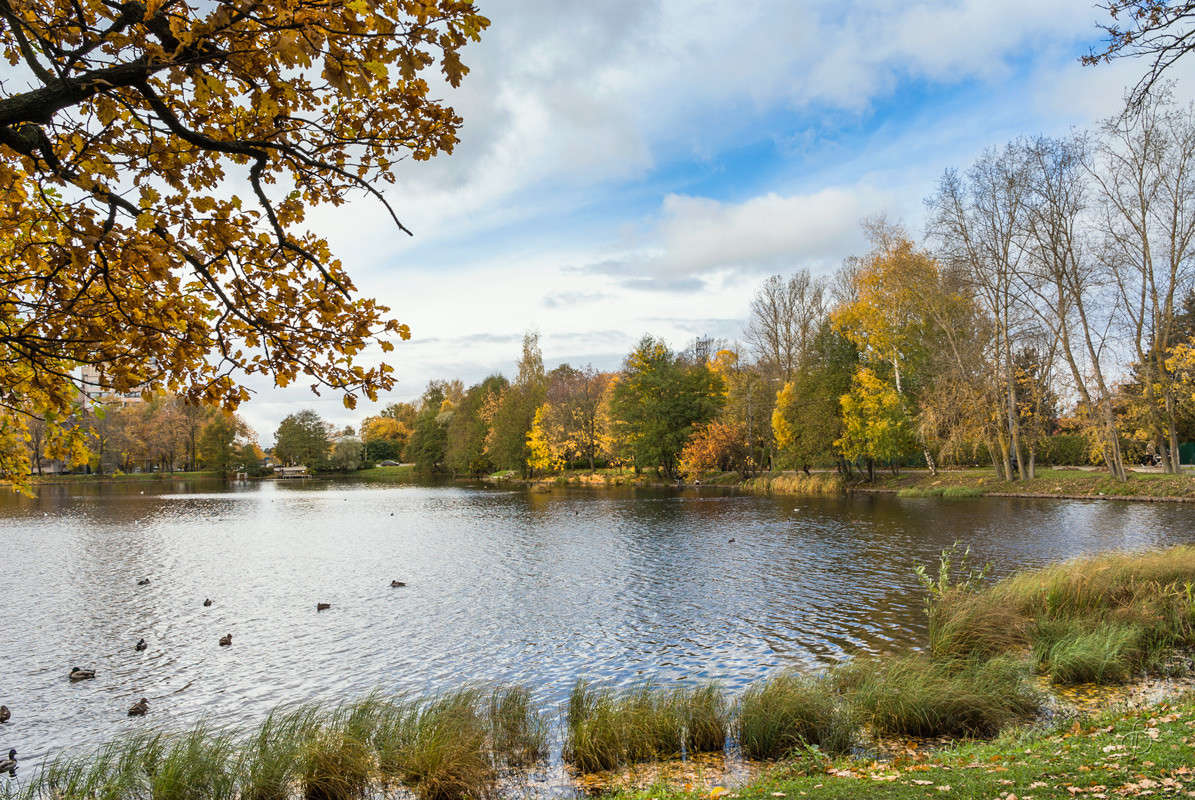 ������ ������ ����� Vitaly Konakov �� PhotoGeek.ru #������ ��� ������� #����� ��������