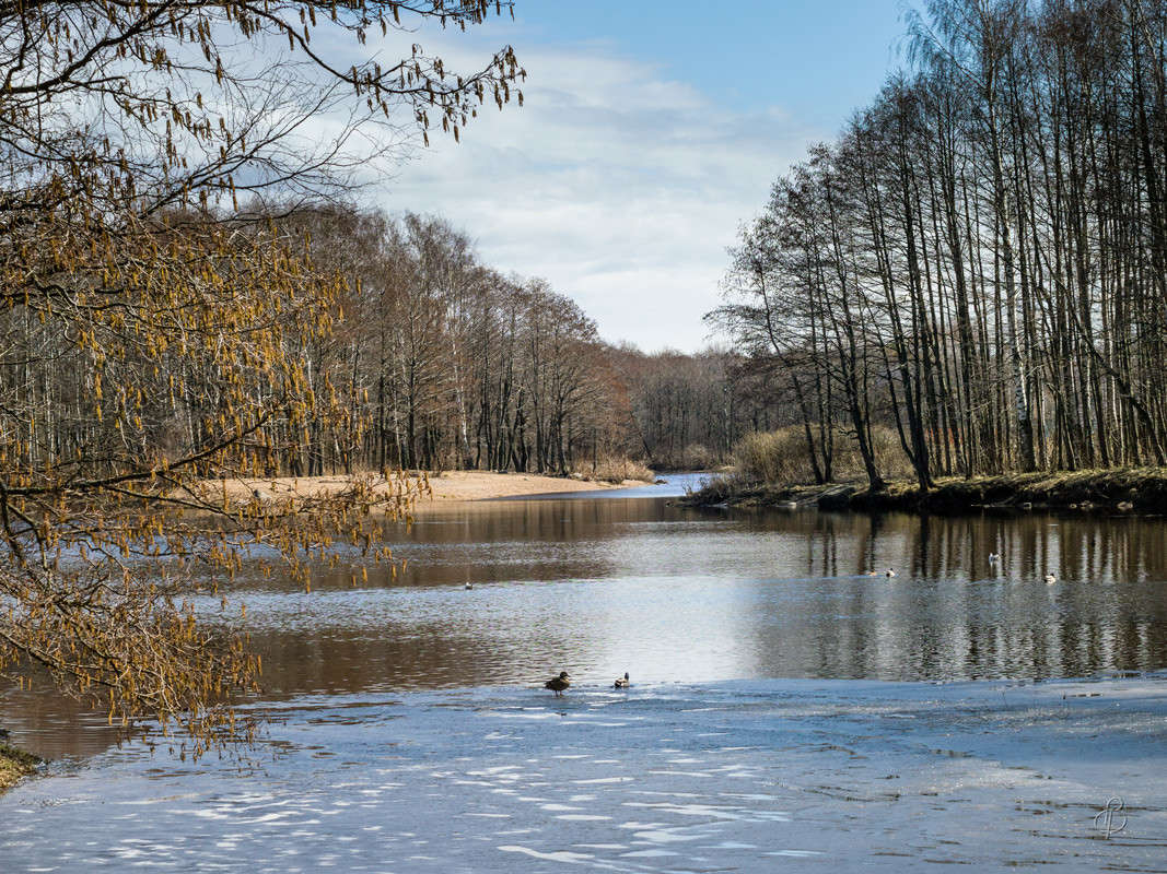 �������� ���� ����� Vitaly Konakov �� PhotoGeek.ru #������ ��� ������� #����� ��������