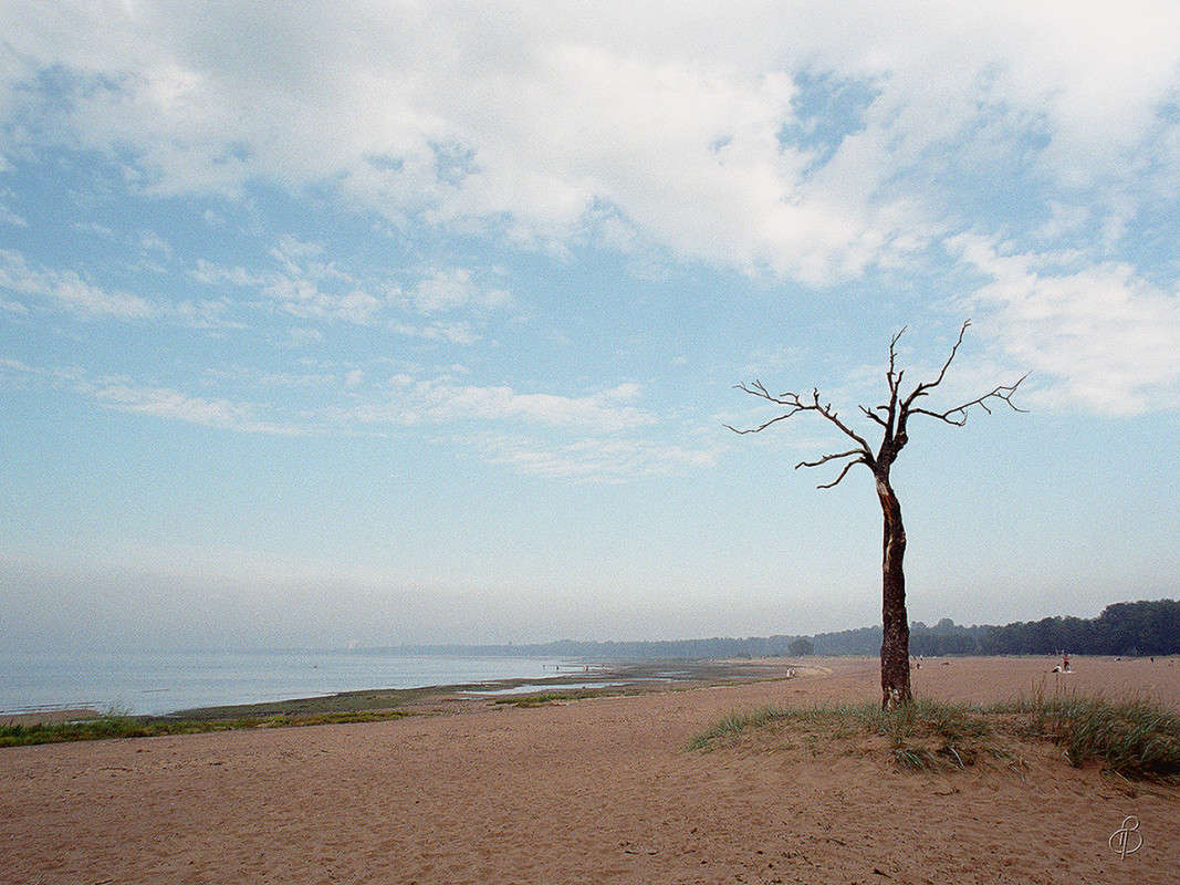 ����������� ����� Vitaly Konakov �� PhotoGeek.ru #������ ��� ������� #����� ��������