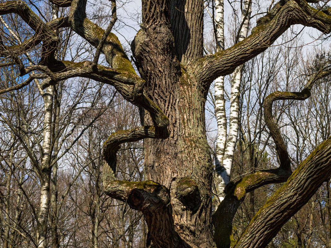 ������ ��� ����� Vitaly Konakov �� PhotoGeek.ru #������ ��� ������� #����� ��������������