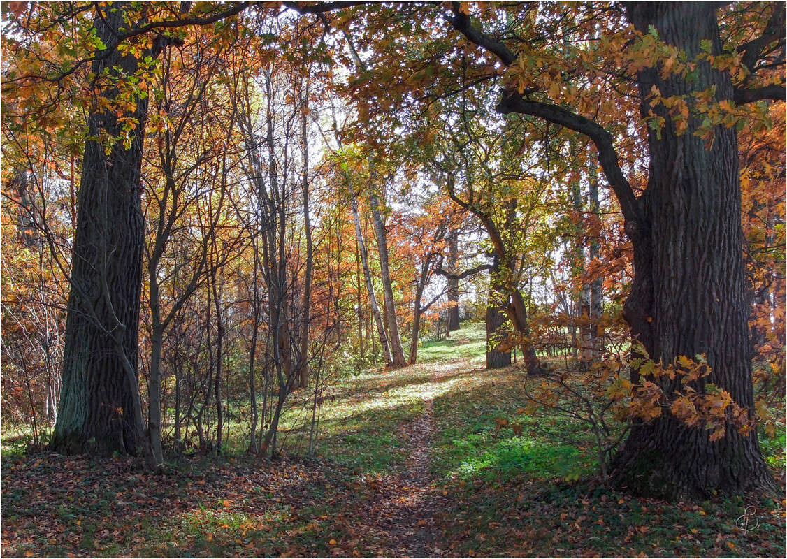 ������� ������ ����� 1 ����� Vitaly Konakov �� PhotoGeek.ru #������ ��� ������� #����� ��������