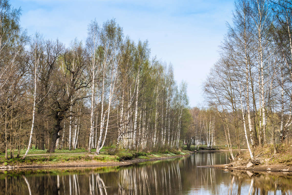 � ����� ����� 1 ����� Vitaly Konakov �� PhotoGeek.ru #������ ��� ������� #����� ��������