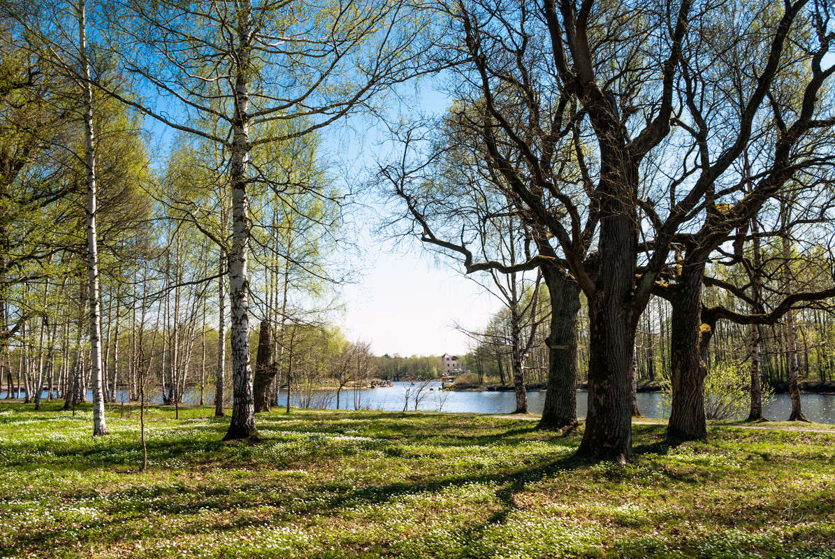 � ����� ����� 3 ����� Vitaly Konakov �� PhotoGeek.ru #������ ��� ������� #����� ��������