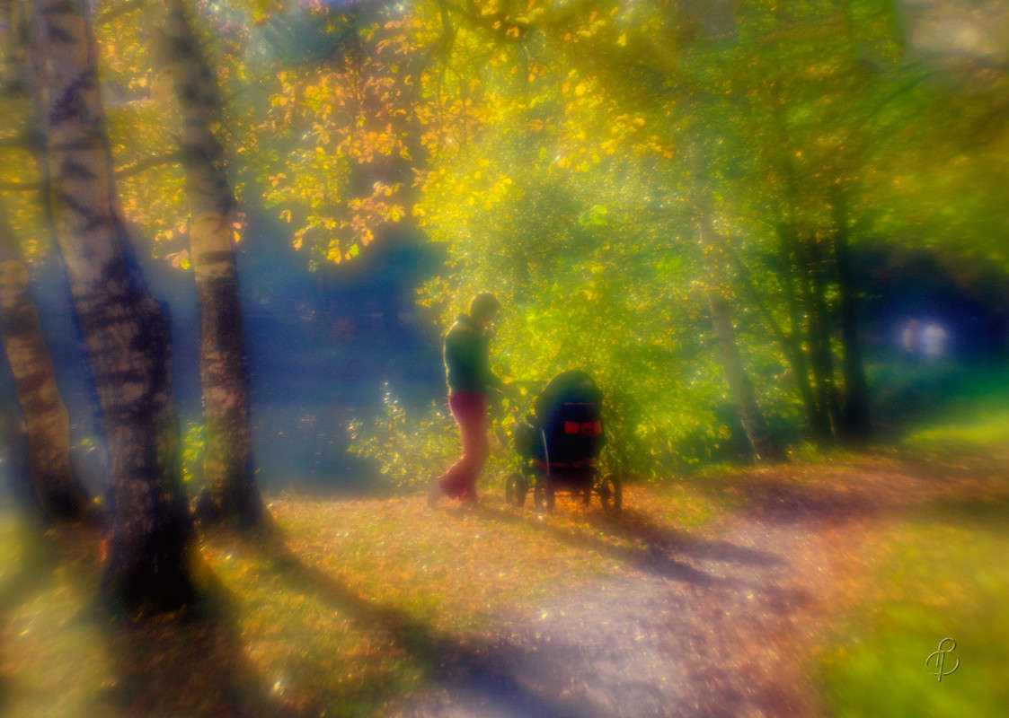 ������� ���� �� �������� ����� Vitaly Konakov �� PhotoGeek.ru #�������� ���������� #���������������