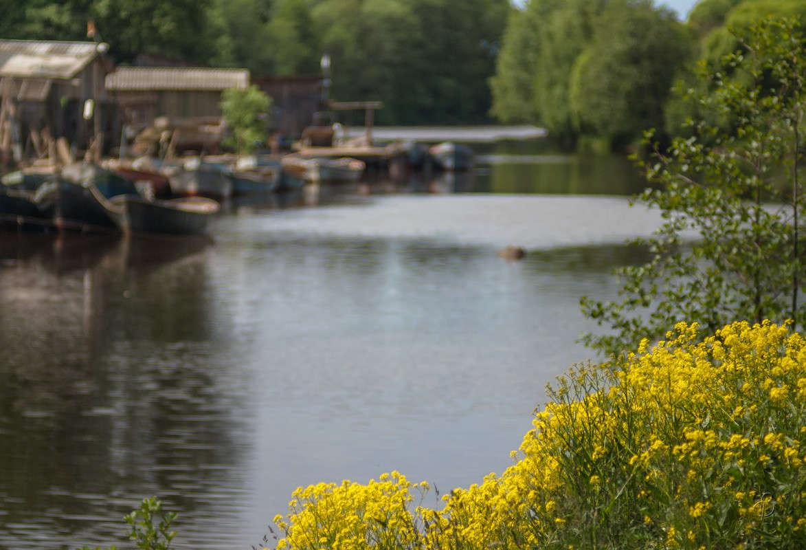 �� ������� ����� Vitaly Konakov �� PhotoGeek.ru #������ ��� ������� #����� ��������