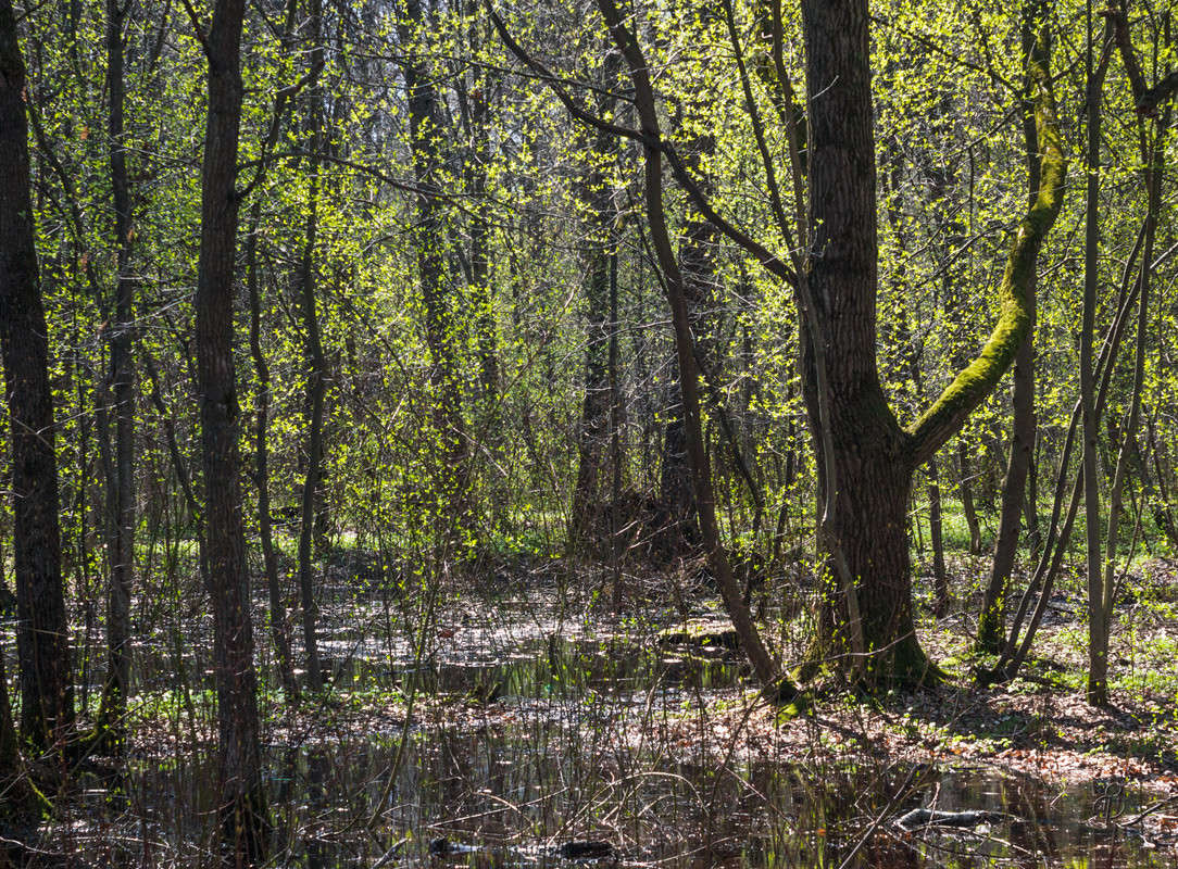 ������ ��� ����� Vitaly Konakov �� PhotoGeek.ru #������ ��� ������� #����� ��������