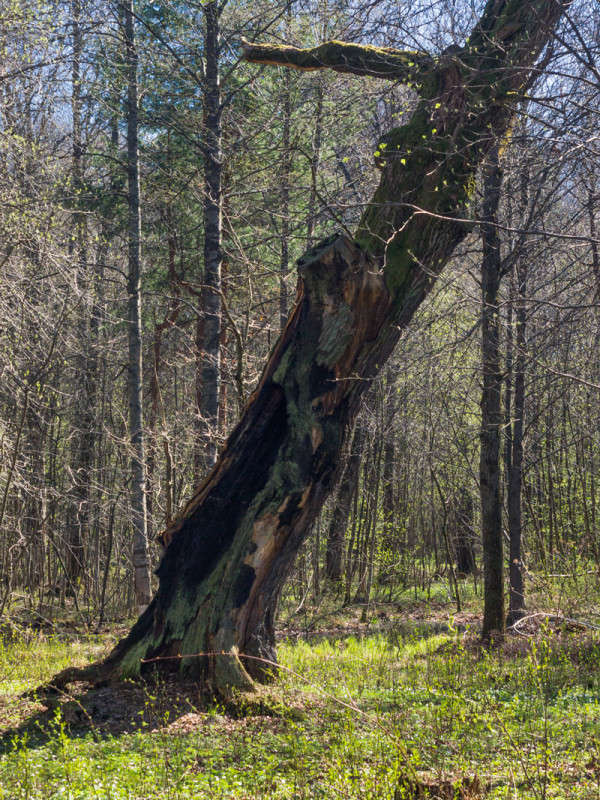 ������������� ����� Vitaly Konakov �� PhotoGeek.ru #������ ��� ������� #����� ��������