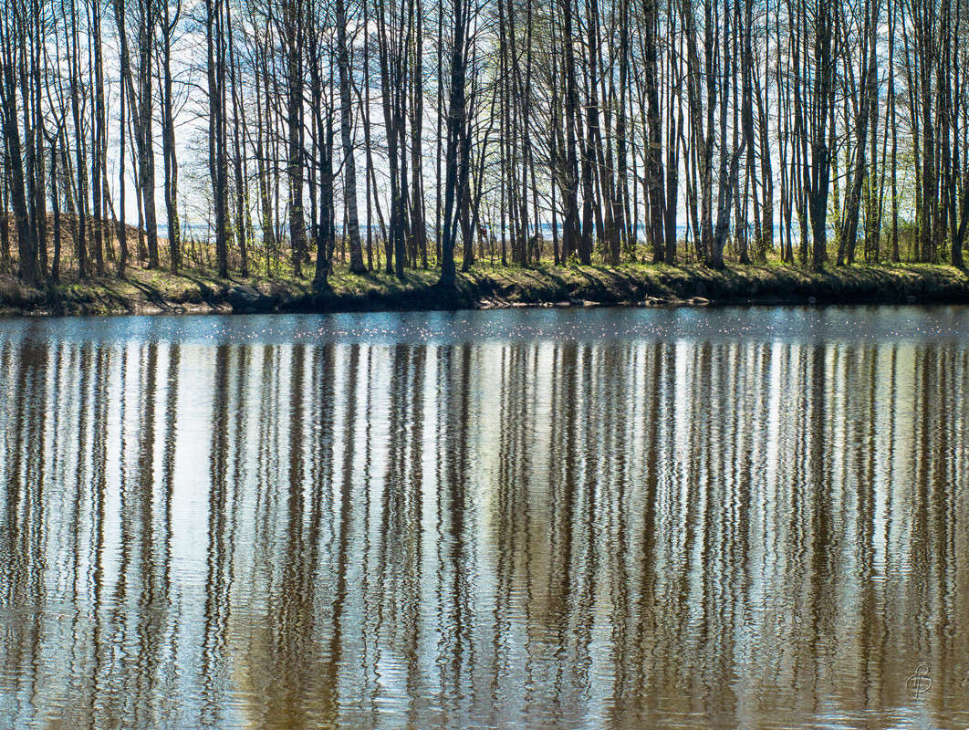 �������� ����� ����� Vitaly Konakov �� PhotoGeek.ru #������ ��� ������� #����� ��������