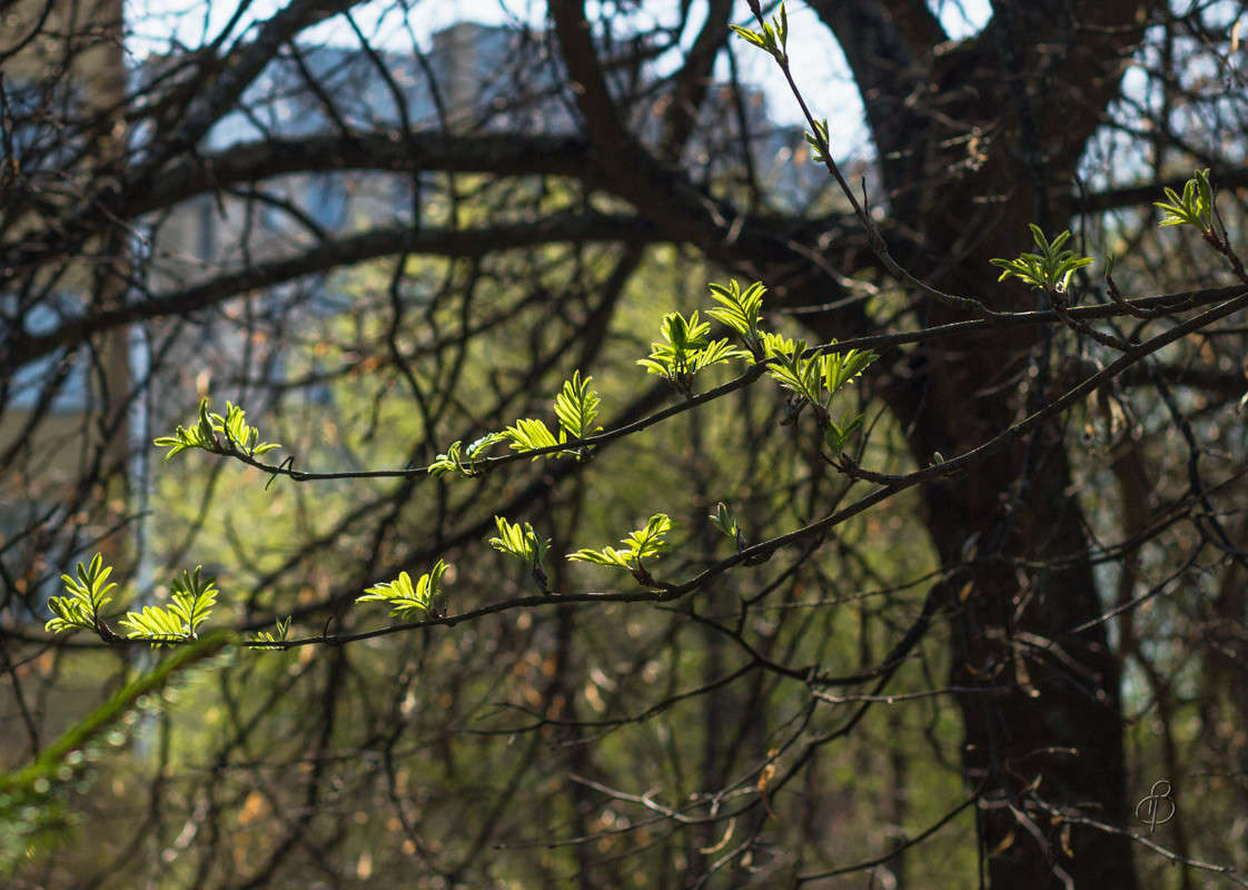 �������� ���� ����� Vitaly Konakov �� PhotoGeek.ru #������ ��� ������� #����� ��������