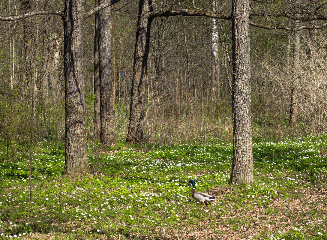 �� � ����� ������� ����� Vitaly Konakov �� PhotoGeek.ru #������ ��� ������� #����� ��������