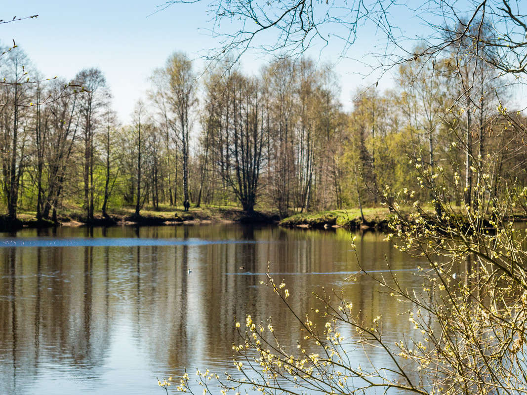 �������� ������ ����� 2 ����� Vitaly Konakov �� PhotoGeek.ru #������ ��� ������� #����� ��������