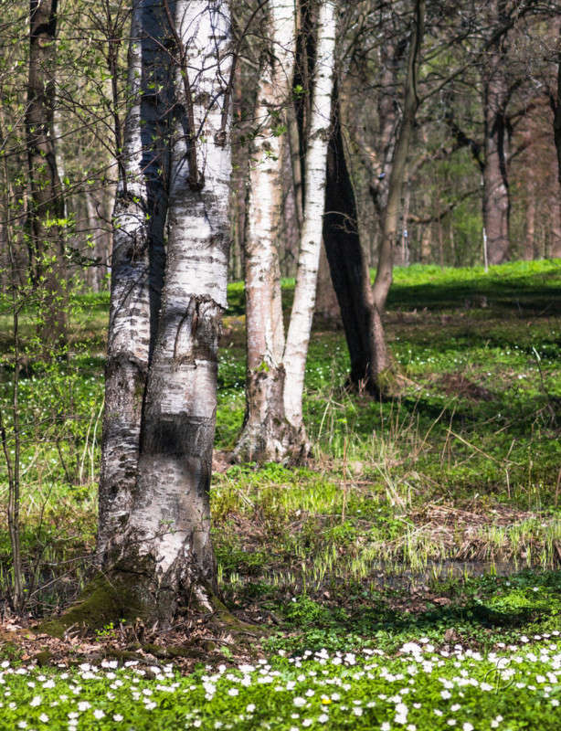 ����� �������� 4 ����� Vitaly Konakov �� PhotoGeek.ru #������ ��� ������� #����� ��������